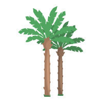 Heritage Village Palm Trees Abu Dhabi