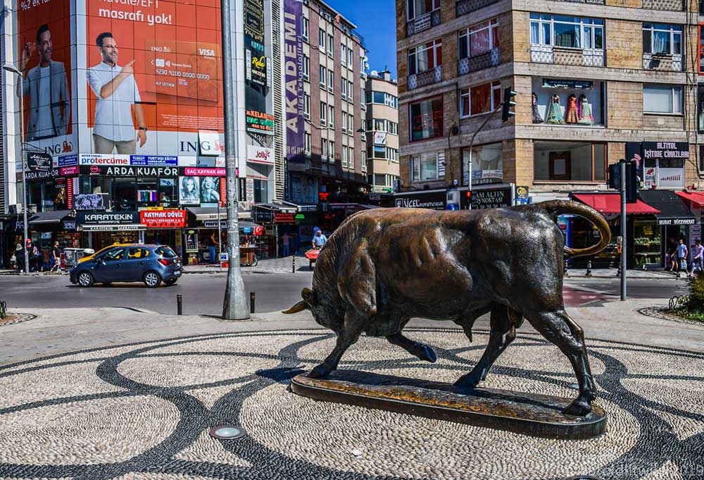 Istanbul-Kadikoy-Bull