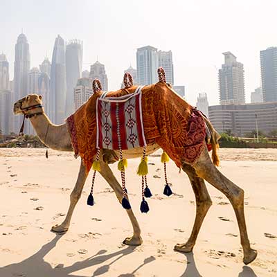 Middle East Tourist Destination