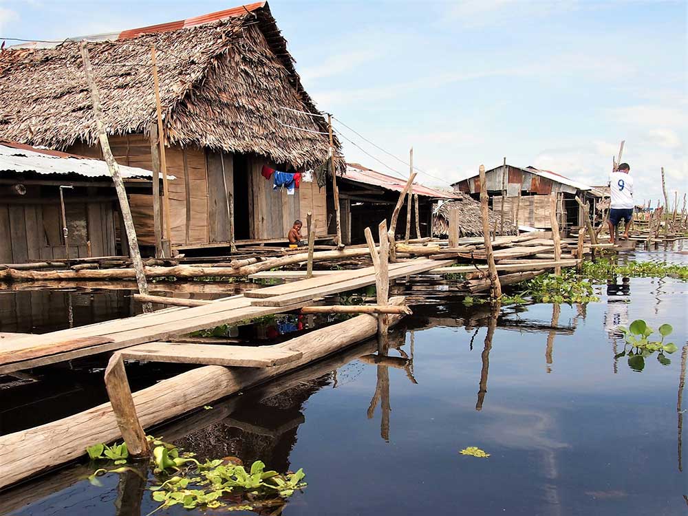 Amazonian Jungle Iquitos jungle cruises stilt houses