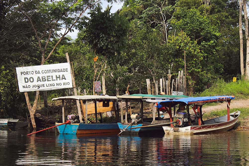 Amazon Jungle Cruises in Manaus Brazil