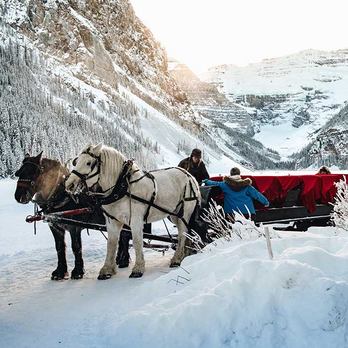 Winter Fun Sleigh Snow