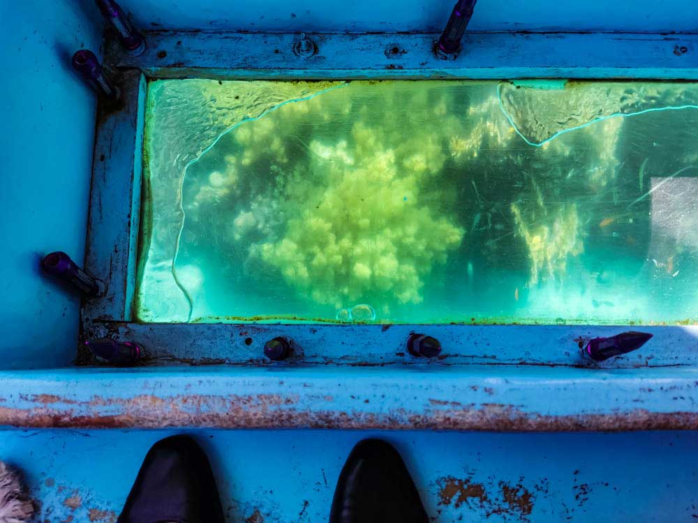 Aqaba Glass bottom boat