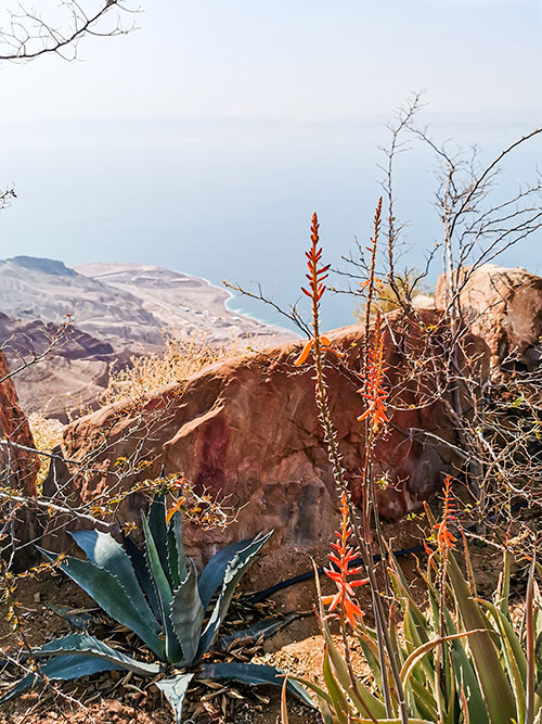 Dead Sea Panorama Zara Mountain