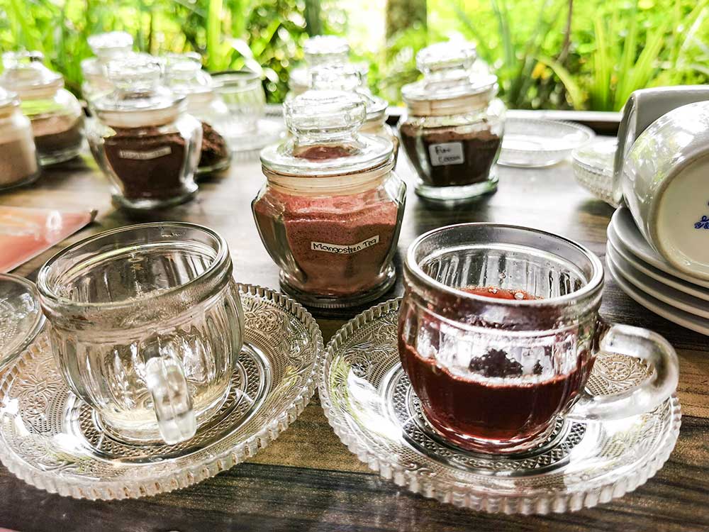 Coffee Tea Plantation in Bali Near Ubud