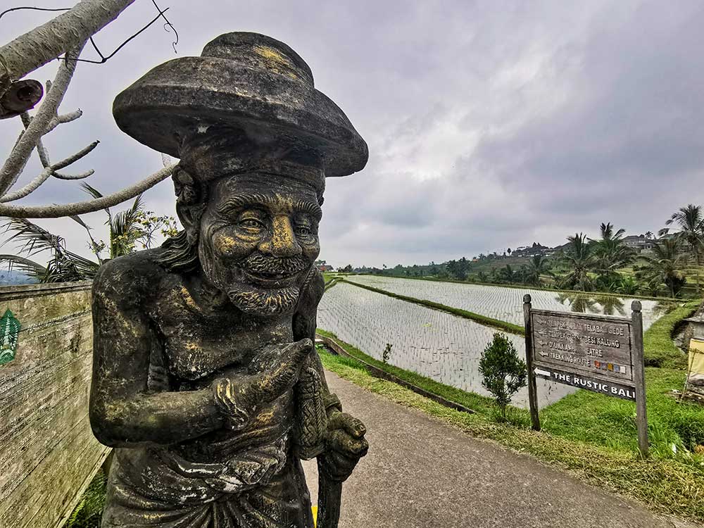 Rustic Bali Trekking Route at Jatiluwih rice terrace