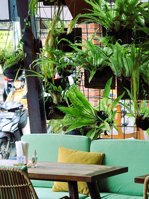 Seeds Eatery Indonesian Food Ubud