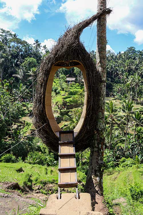 Tegallalang Rice Terrace Bali