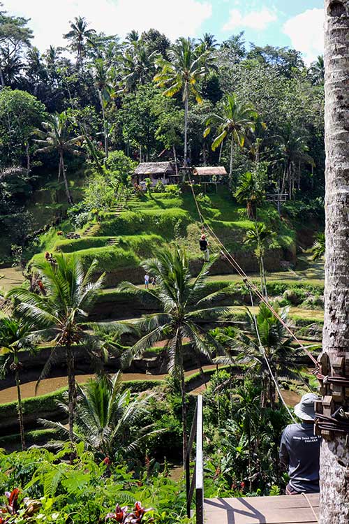 Zipline at Tegallalang Rice Terraces Bali Indonesia