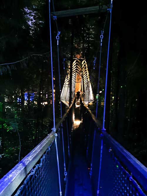 Redwoods Treewalk Rotorua New Zealand Swing Bridge