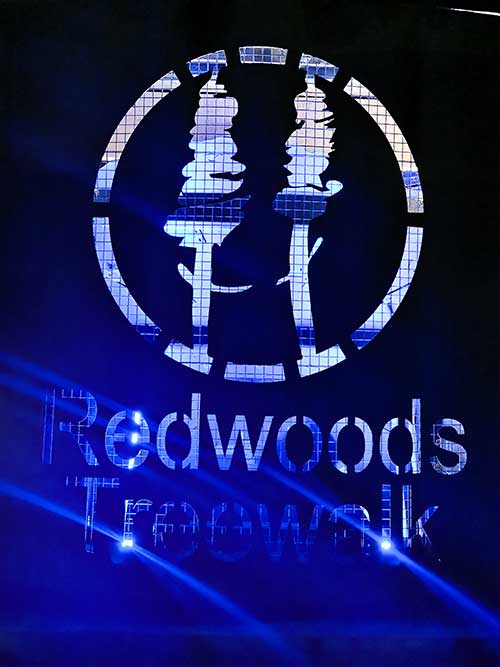 Redwoods Treewalk Rotorua New Zealand