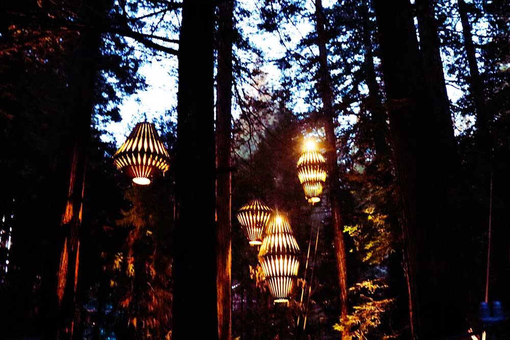 Redwoods Treewalk night wooden lanterns
