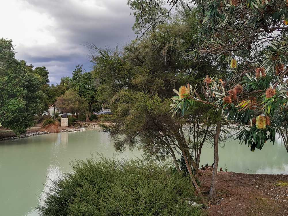 Rotorua Government Gardens Geothermal Area