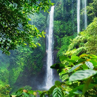 Bali jungle with waterfall