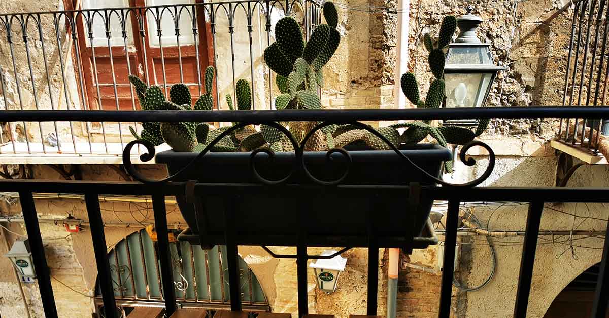 Ancient Palermo Street Food Markets