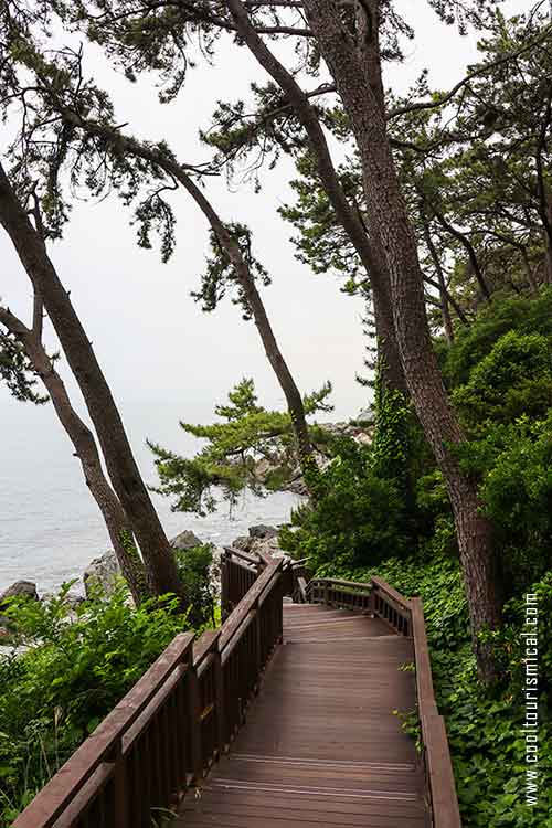 Dongbaek Island Hiking Trail in Busan Haeundae Beach