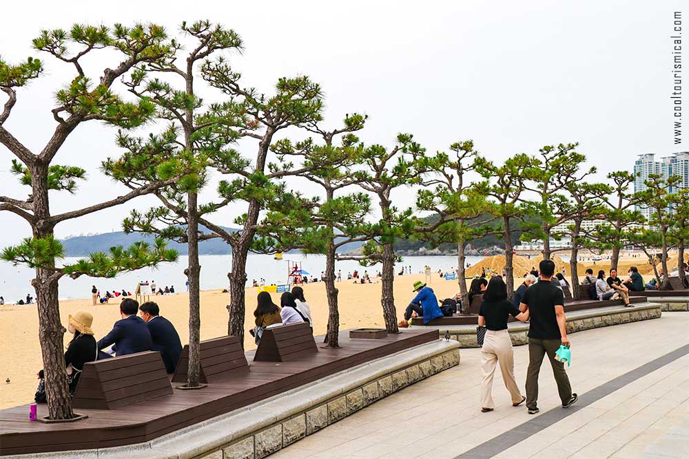 Haeundae Beach in Busan in June