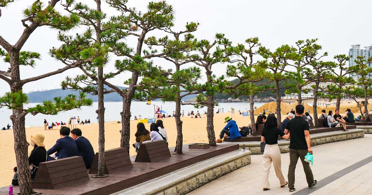 Wonder-Filled Things To Do at Haeundae Beach, Busan, South Korea
