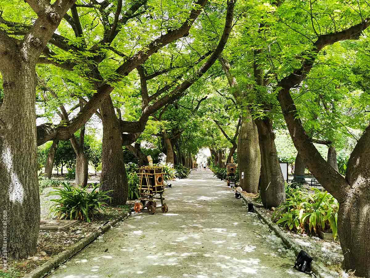 Botanical Garden Park Palermo