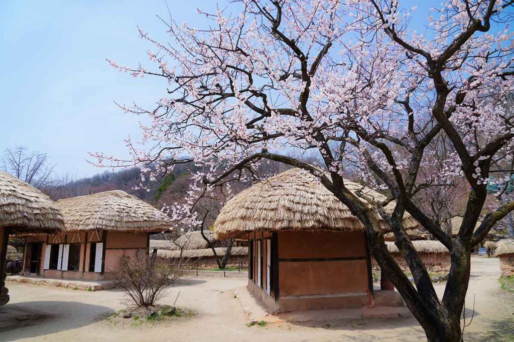 best-hanok-villages-a-traveler-s-guide-to-south-korea-homes