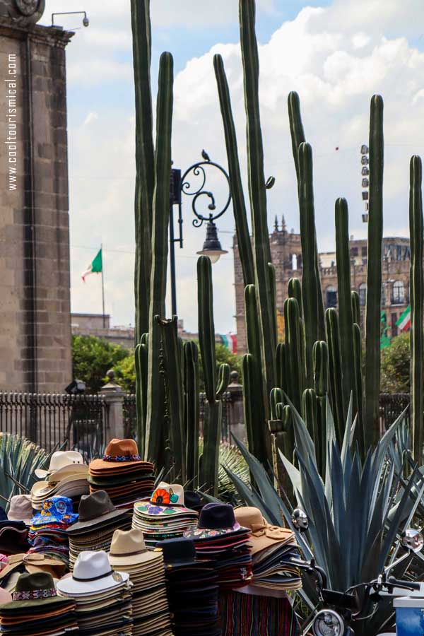 Mexican Hats and Cactus in Zocalo Mexico City