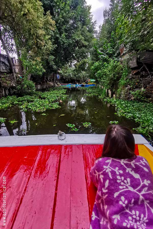 Xochimilco Mexico City Monday Day Trip
