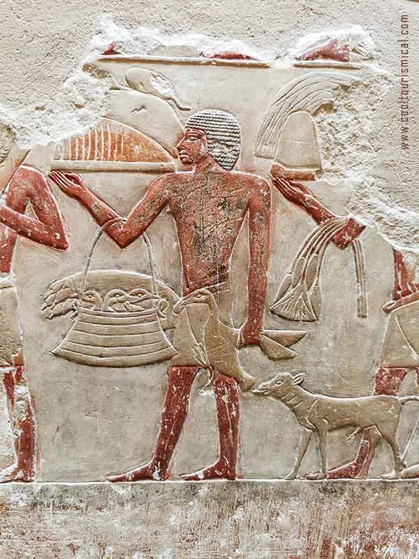 Egyptian drawings and hieroglyphs in Saqqarah