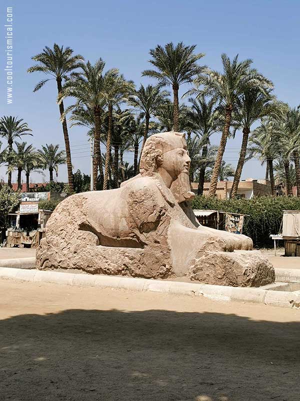 The Alabaster Sphinx Statue in Memphis Egypt