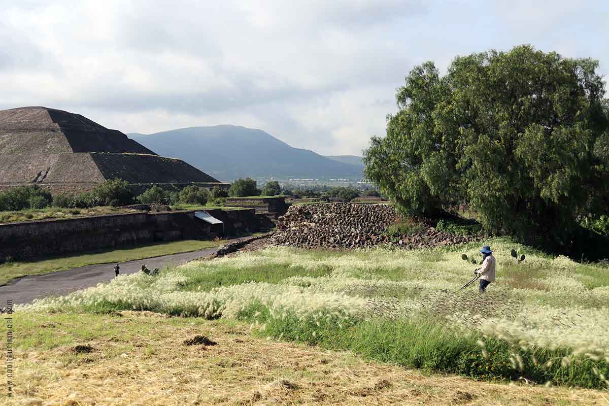 Teotihuacan Early Morning