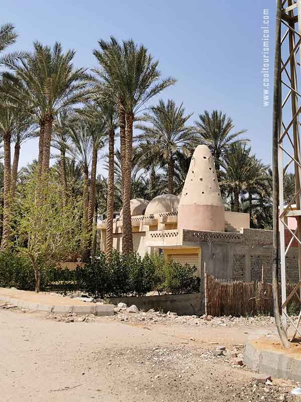 Egyptian village near Saqqara